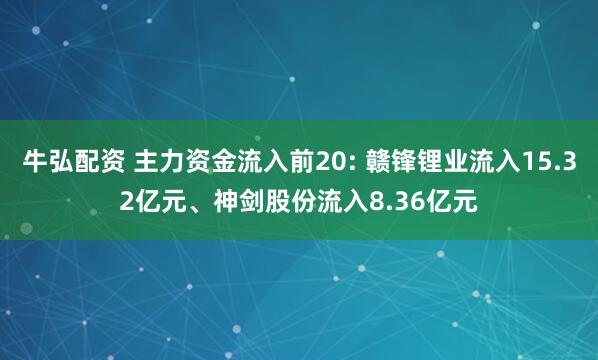 牛弘配资 主力资金流入前20: 赣锋锂业流入15.32亿元、神剑股份流入8.36亿元