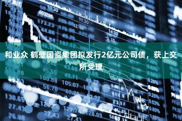 和业众 鹤壁国资集团拟发行2亿元公司债，获上交所受理