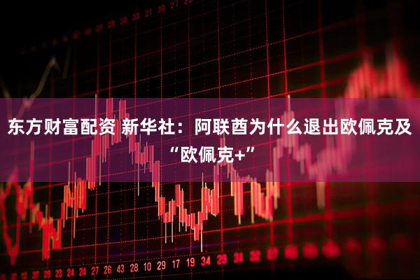 东方财富配资 新华社：阿联酋为什么退出欧佩克及“欧佩克+”