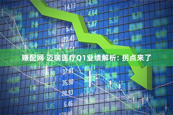 赚配网 迈瑞医疗Q1业绩解析: 拐点来了