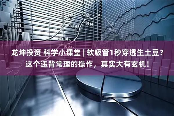 龙坤投资 科学小课堂 | 软吸管1秒穿透生土豆？这个违背常理的操作，其实大有玄机！