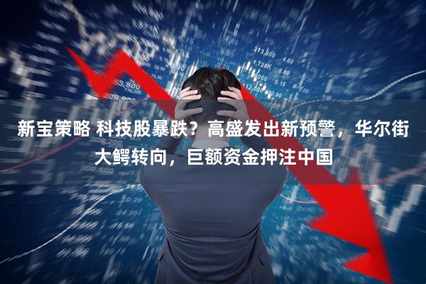 新宝策略 科技股暴跌？高盛发出新预警，华尔街大鳄转向，巨额资金押注中国